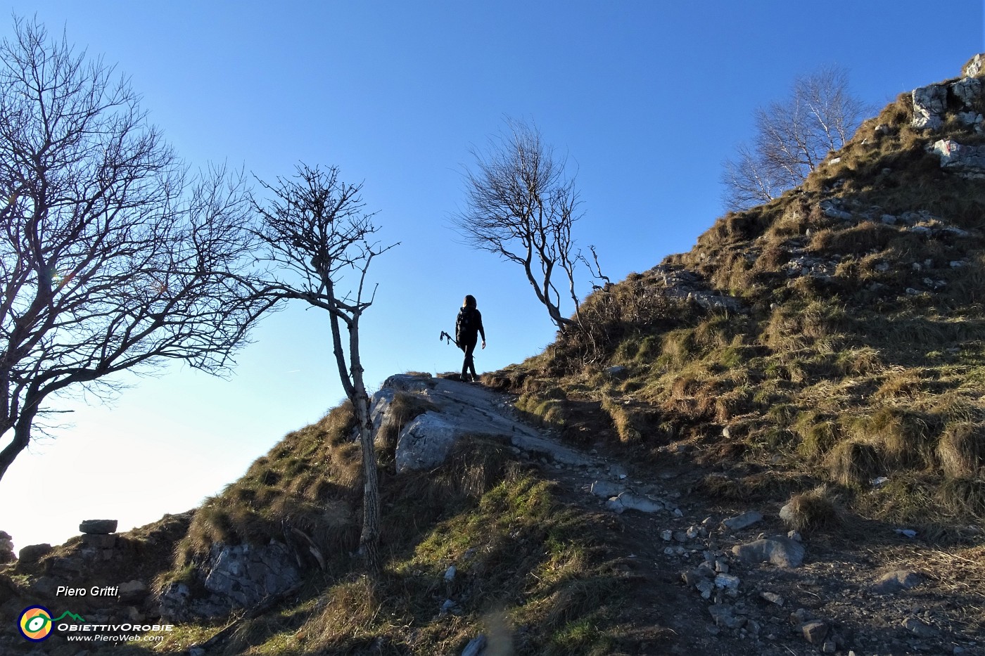 27 Il bosco dirada....JPG